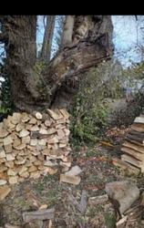 Split firewood 